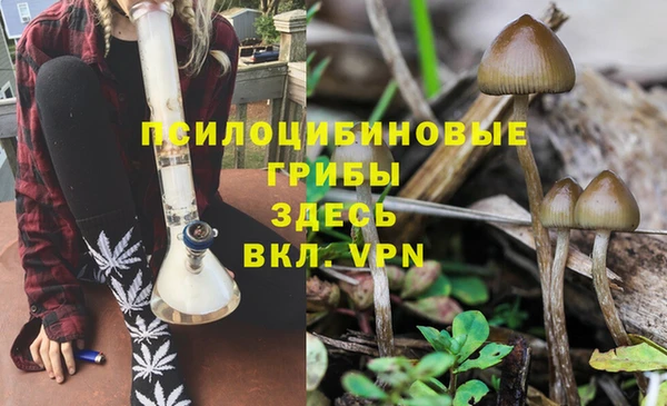 синтетический гашиш Зеленодольск