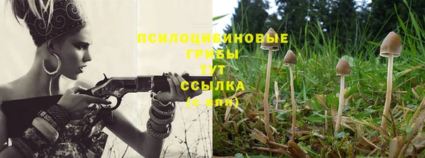 мескалин Заводоуковск