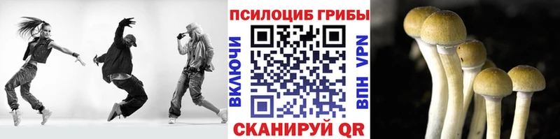 Галлюциногенные грибы MAGIC MUSHROOMS  хочу наркоту  Жуковский 